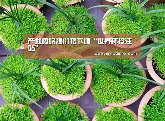 产地喷吹煤价格下调“世界杯投注站”(图2) 世界杯投注站