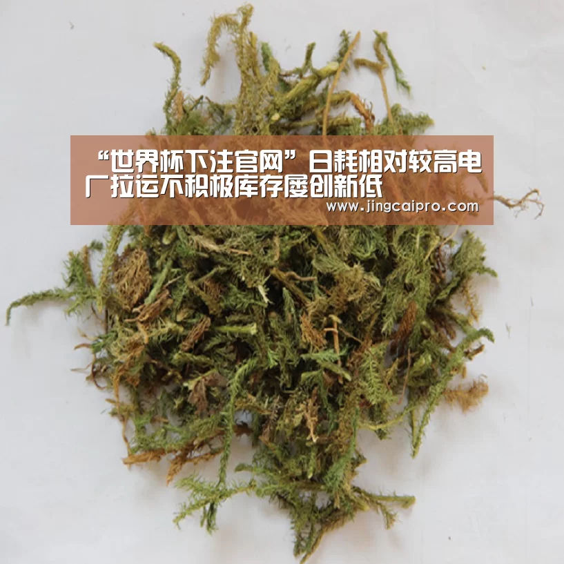 “世界杯下注官网”日耗相对较高电厂拉运不积极库存屡创新低(图1) 世界杯竞猜平台
