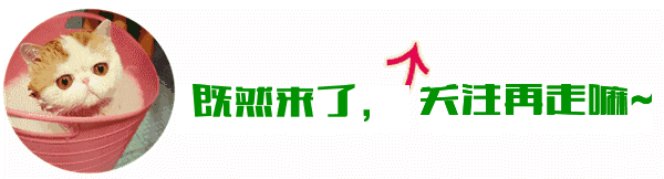 世界杯竞猜平台
