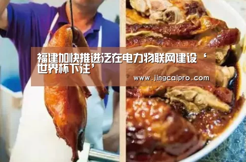 福建加快推进泛在电力物联网建设‘世界杯下注’(图2) 世界杯下注官网