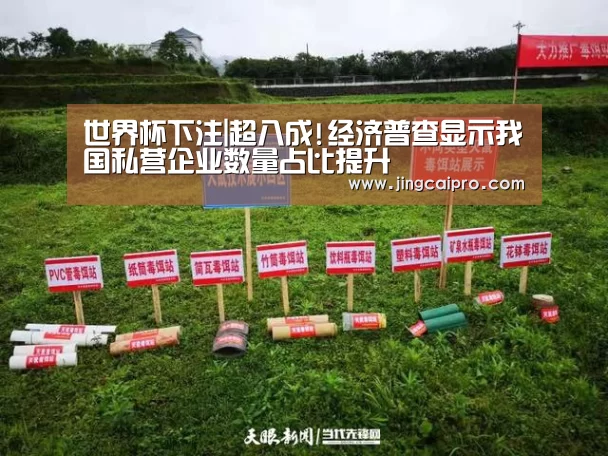世界杯投注站