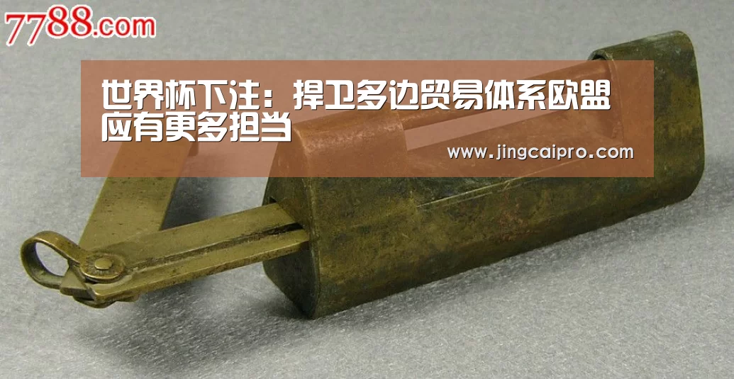 世界杯下注:捍卫多边贸易体系欧盟应有更多担当(图3) 世界杯竞猜平台