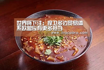世界杯下注:捍卫多边贸易体系欧盟应有更多担当(图1) 世界杯投注站