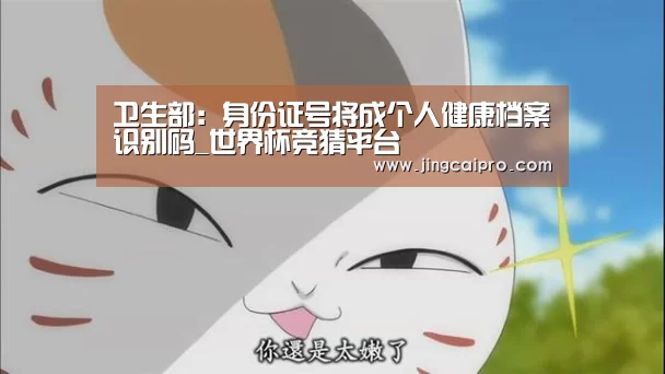 卫生部:身份证号将成个人健康档案识别码_世界杯竞猜平台(图2) 世界杯下注