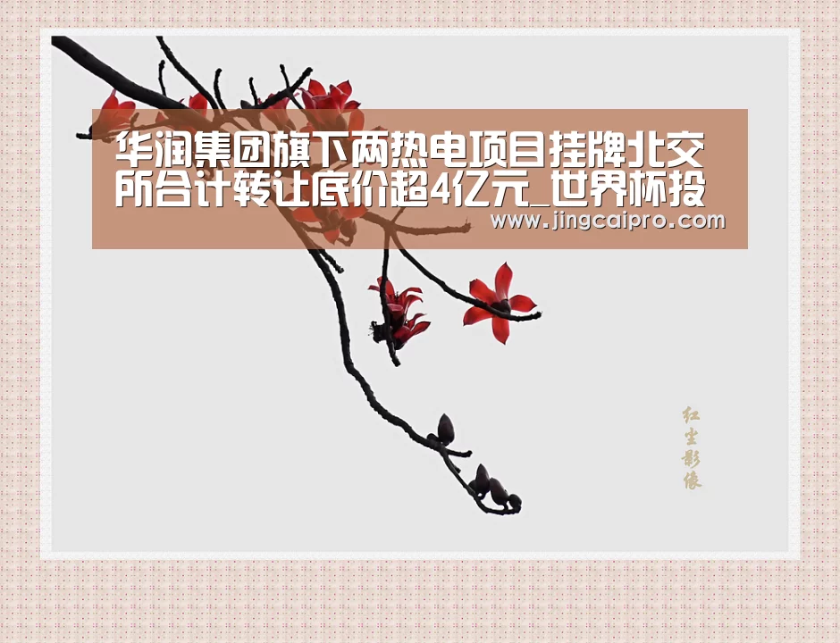 华润集团旗下两热电项目挂牌北交所合计转让底价超4亿元_世界杯投注站(图1) 世界杯下注