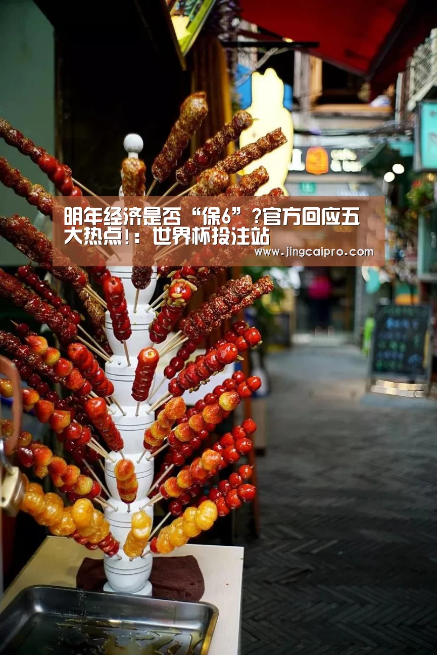 明年经济是否“保6”?官方回应五大热点!:世界杯投注站(图1) 世界杯下注