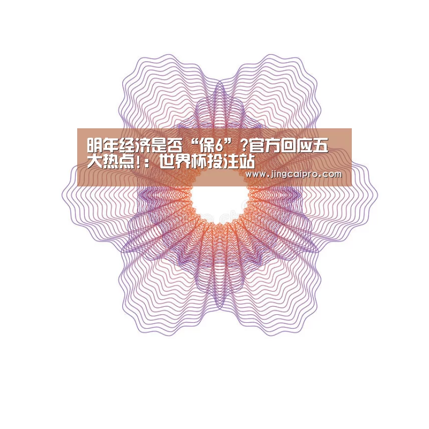 明年经济是否“保6”?官方回应五大热点!:世界杯投注站(图3) 世界杯竞猜平台
