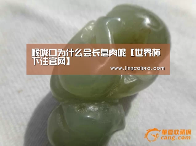 喉咙口为什么会长息肉呢【世界杯下注官网】(图2) 世界杯下注